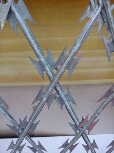 Straight line galvanized razor wires are crossed together.