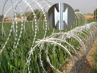 two rows Galvanized Concertina wire Fence for security fencing