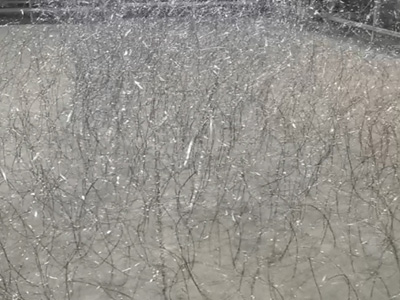 three-dimensional barrier wire fence