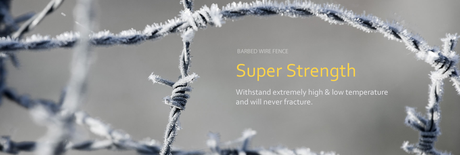 Several lines of barbed wires are covered with snows.