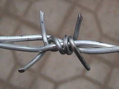 Barbed Wire Characteristic